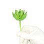 Lotus succulent artificiel Sedum 10 cm