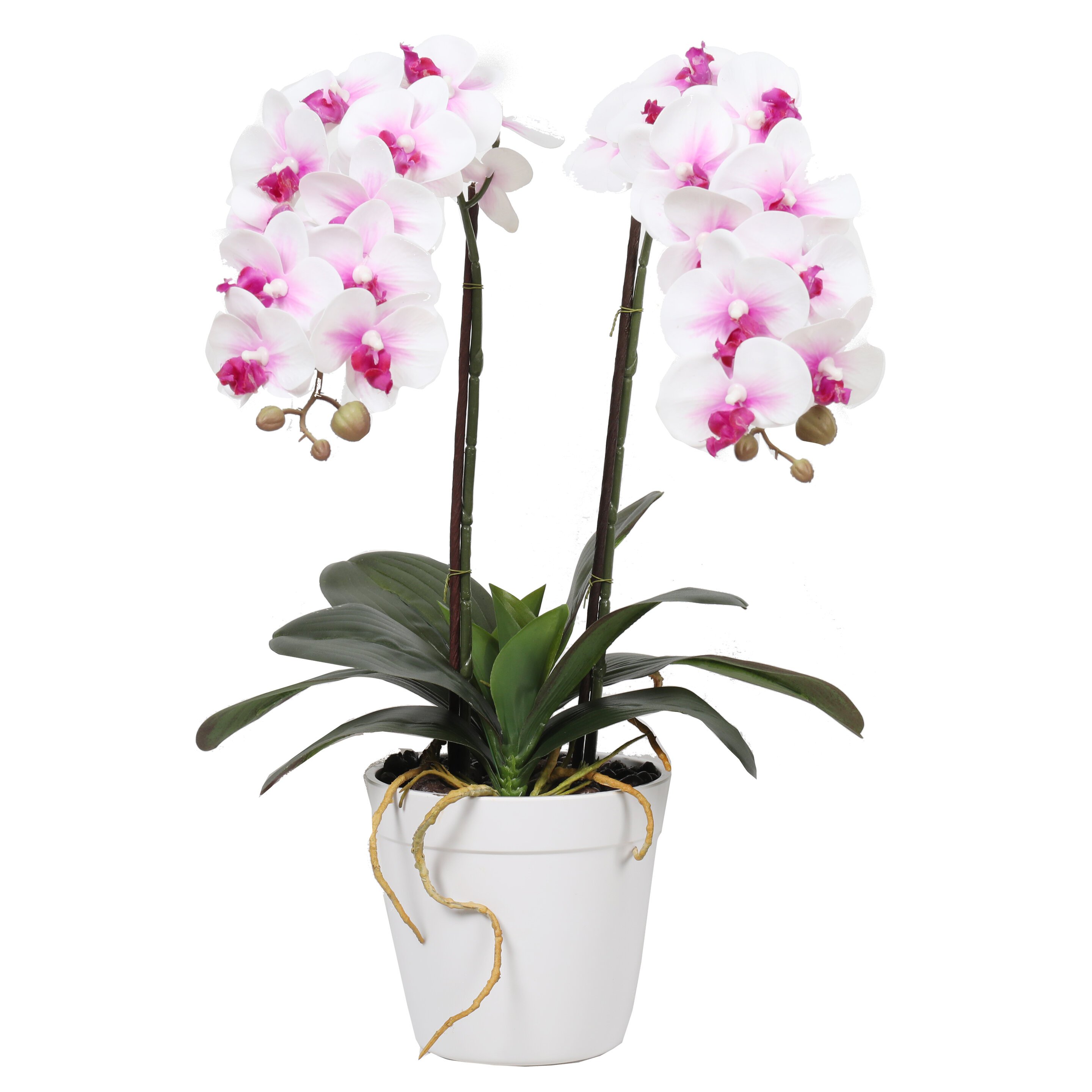 Orchidée artificielle en pot - pour l'intérieur - en pot - 50 cm -  blanc/rose