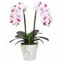 Orchidée artificielle 43 cm