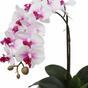 Orchidée artificielle 43 cm