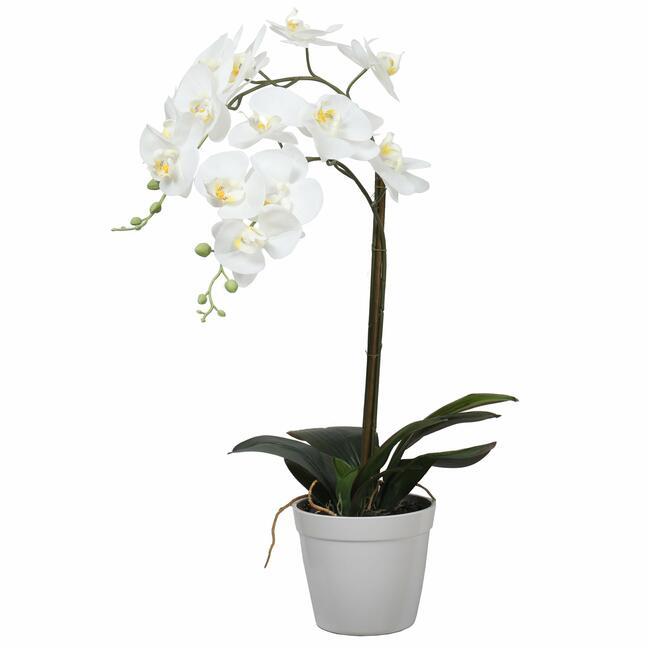 Orchidée artificielle blanche 65 cm