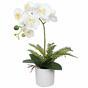 Orchidée artificielle blanche avec fougère 37 cm