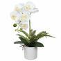 Orchidée artificielle blanche avec fougère 37 cm