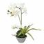 Orchidée artificielle blanche avec fougère 43 cm