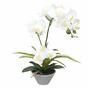 Orchidée artificielle blanche avec fougère 43 cm