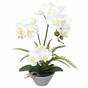 Orchidée artificielle blanche avec fougère 43 cm