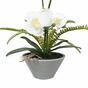 Orchidée artificielle blanche avec fougère 43 cm