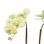 Orchidée au beurre artificielle 50 cm