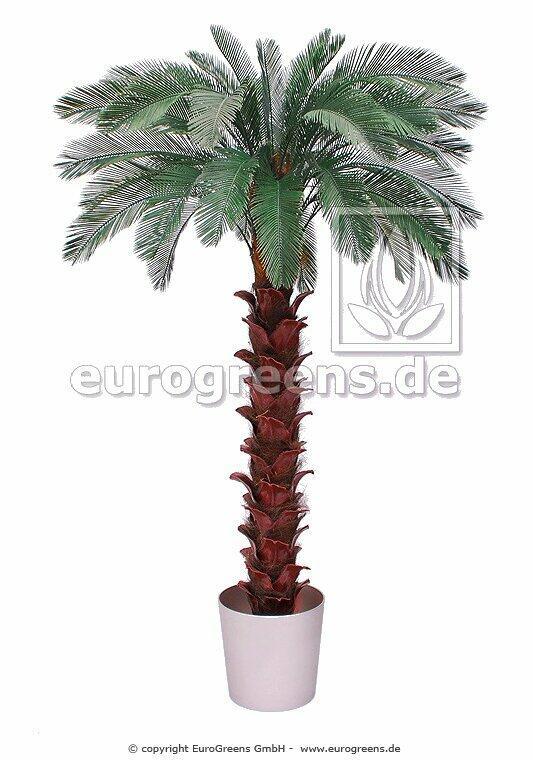 Palmier artificiel Cycas 300 cm