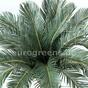 Palmier artificiel Cycas 90 cm