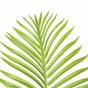 Palmier tropical artificiel 160 cm