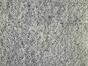 Panneau argent artificiel Calocephalus - 50x50 cm