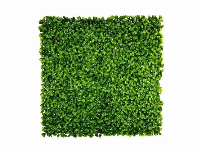 Panneau de feuilles artificielles Peperomia - 50x50 cm