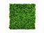 Panneau de feuilles artificielles Stonecrop - 50x50 cm