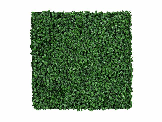 Panneau de feuillus artificiel Buxus - 50x50 cm