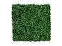 Panneau de feuillus artificiel Buxus - 50x50 cm