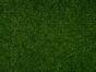 Panneau de mousse artificielle Moswand - 50x50 cm