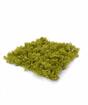 Panneau de mousse verte artificielle - 25x25 cm