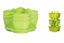Persil COUBI citron vert 29,5 cm