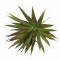 Plante artificielle Agave bordeaux 20 cm