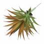 Plante artificielle Agave orange 18 cm