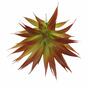 Plante artificielle Agave rouge 18 cm