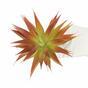 Plante artificielle Agave rouge 18 cm