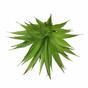 Plante artificielle Agave vert 18 cm