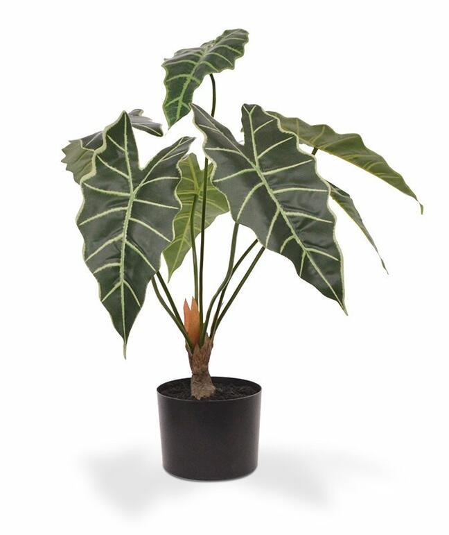 Plante artificielle Allocasia Amazonica 60 cm