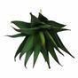 Plante artificielle Aloe 13,5 cm