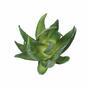 Plante artificielle Aloe Vera 15 cm