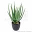 Plante artificielle Aloe Vera 45 cm