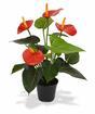 Plante artificielle Anthurium rouge 40 cm