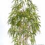 Plante artificielle Bambou Chinois 150 cm