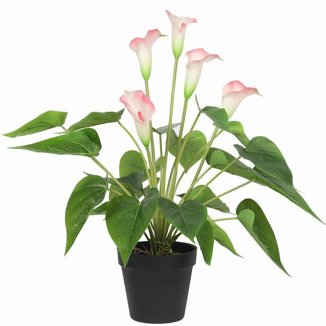 Plante artificielle Calla blanc-rose 50 cm