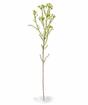 Plante artificielle Chamelaucium uncinatum 65 cm