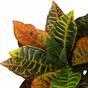 Plante artificielle Crotone 100 cm