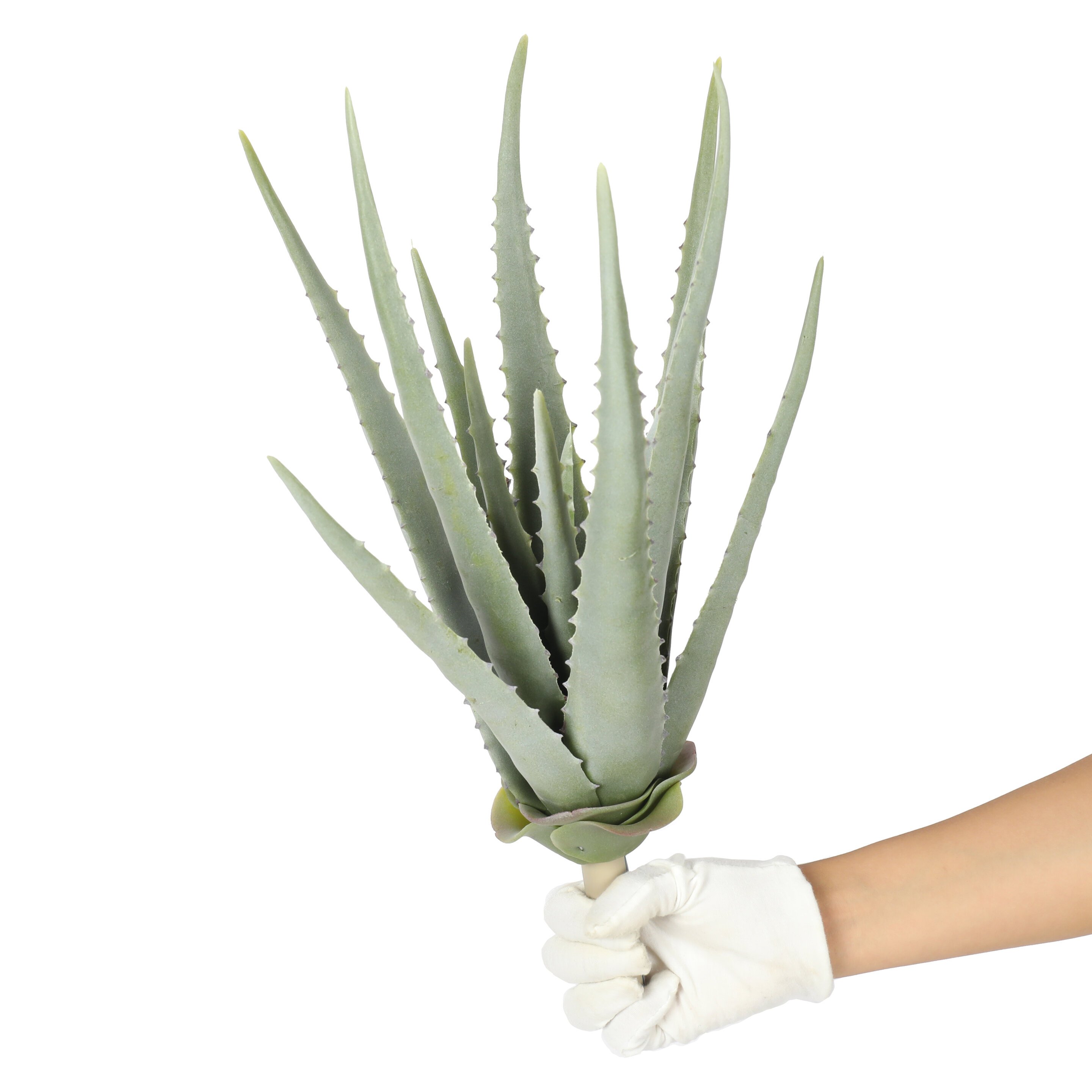 Fausse plante Aloe Vera 45 cm : plante artificielle Aloe Vera – INSIDE Box  - Shop - Conseil