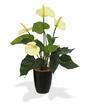 Plante artificielle d'anthurium blanc 40 cm