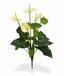 Plante artificielle d'anthurium blanc 40 cm