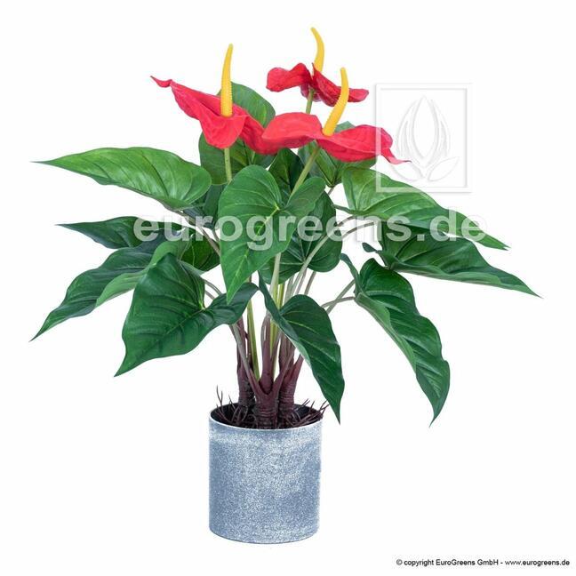 Plante artificielle d'anthurium en fleurs 45 cm