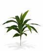 Plante artificielle Dracena 60 cm