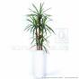 Plante artificielle Dracena doublée de 140 cm