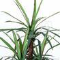 Plante artificielle Dracena doublée de 140 cm