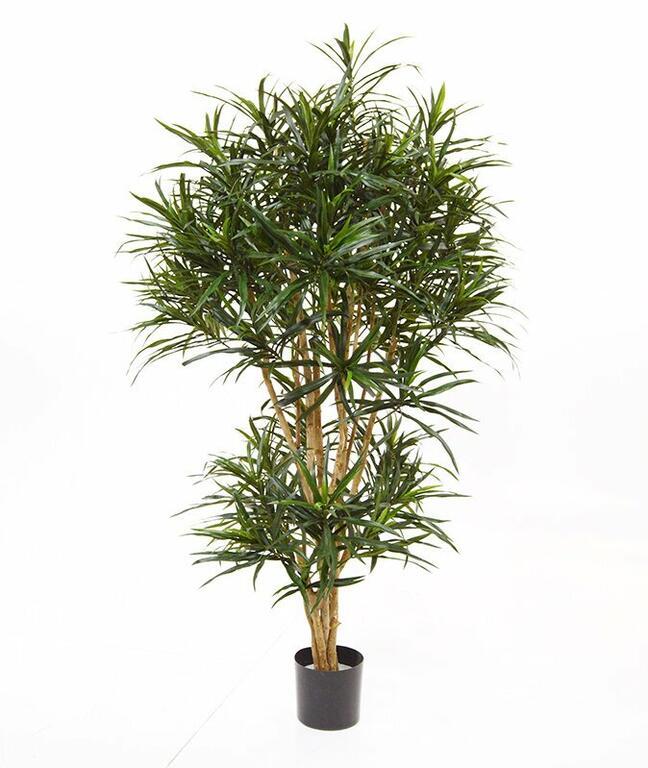 Plante artificielle Dracena reflex 160 cm