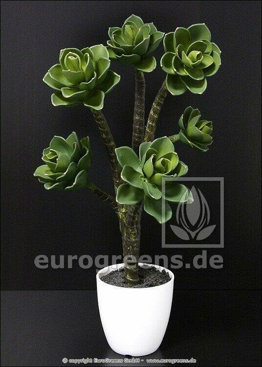 Plante artificielle Eševéria 55 cm