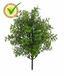 Plante artificielle Eucalyptus 30 cm