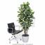 Plante artificielle Figuier 180 cm