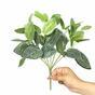 Plante artificielle Fitónia blanc 25 cm