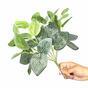 Plante artificielle Fitónia blanc 25 cm